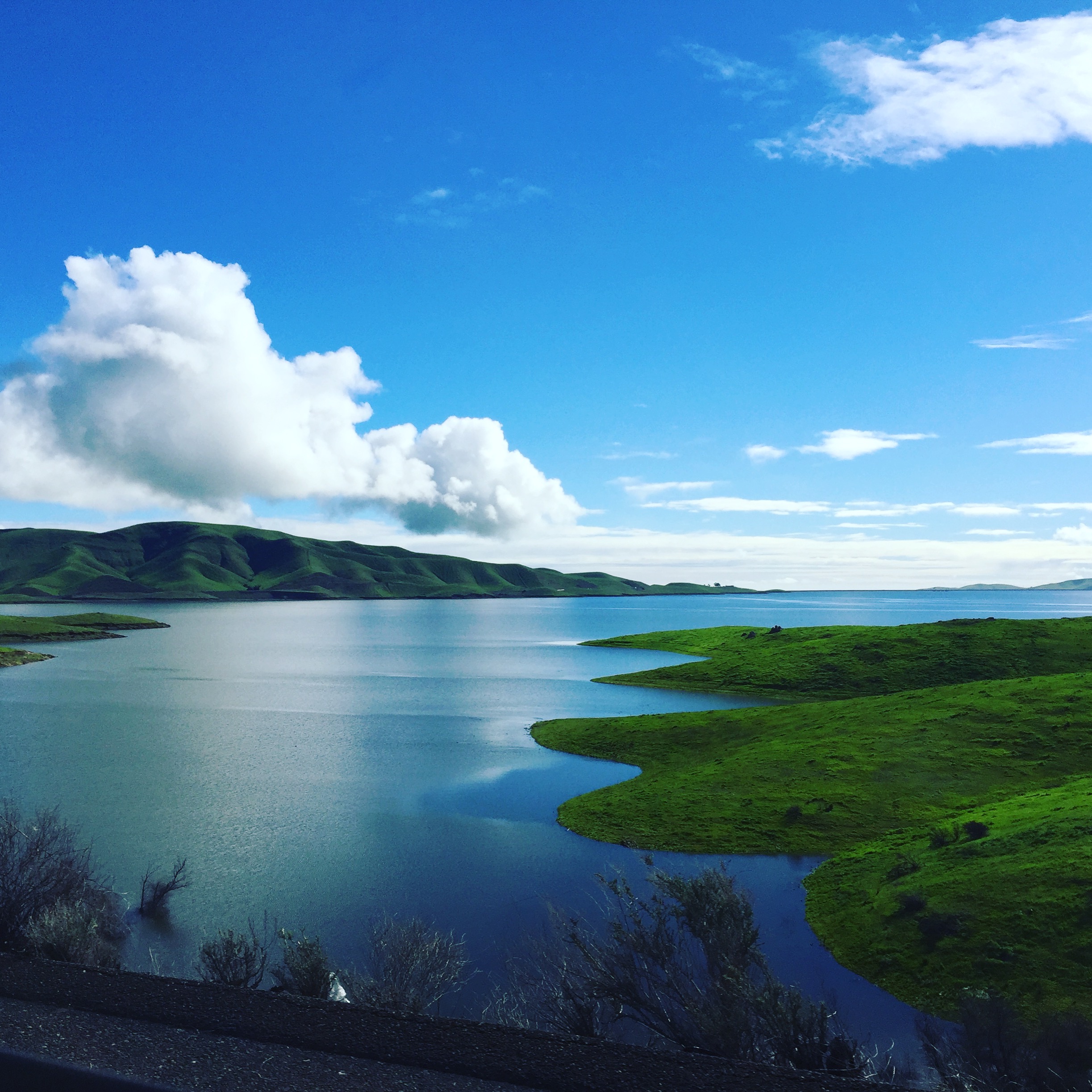 44196100_1121967167955128_2199365637459935232_n